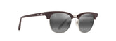 HOLOMUA Classic Sunglasses