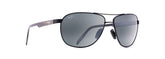 CASTLES Aviators Sunglasses
